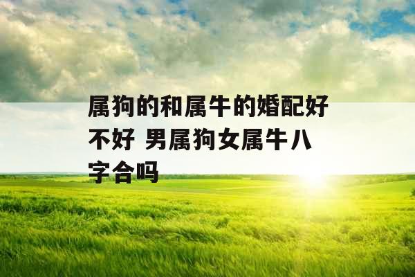 属狗的和属牛的婚配好不好 男属狗女属牛八字合吗