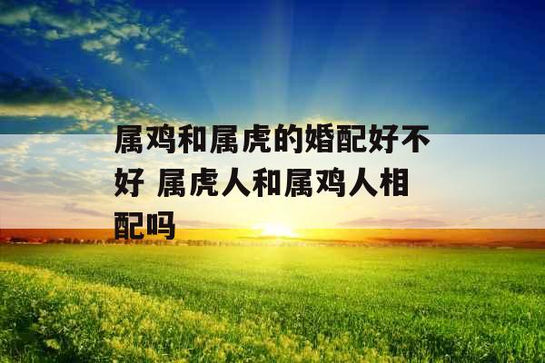 属鸡和属虎的婚配好不好 属虎人和属鸡人相配吗 属鸡和属虎的婚配好不好 属虎人和属鸡人相配吗