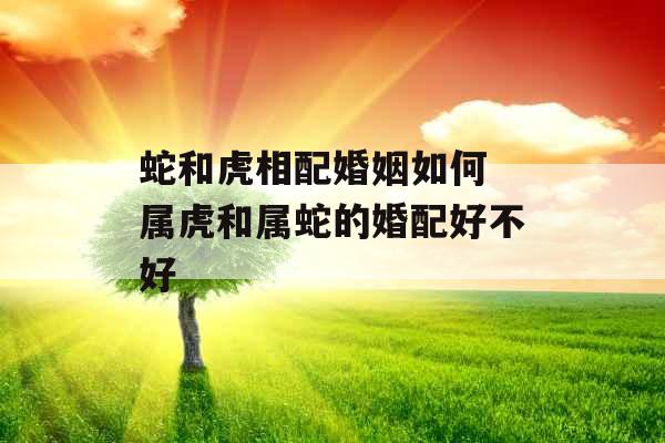 蛇和虎相配婚姻如何 属虎和属蛇的婚配好不好 蛇和虎相配婚姻如何 属虎和属蛇的婚配好不好