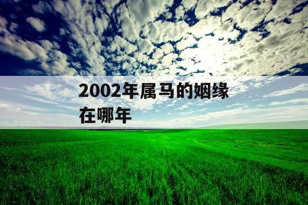 2002年属马的姻缘在哪年