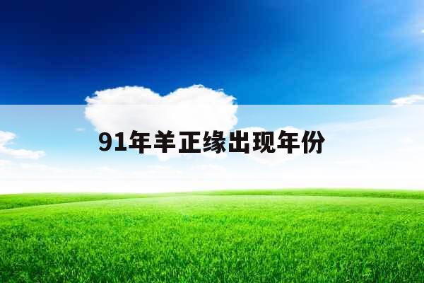 91年羊正缘出现年份