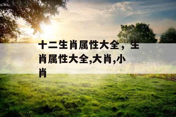 十二生肖属性大全，生肖属性大全,大肖,小肖