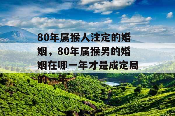 80年属猴人注定的婚姻，80年属猴男的婚姻在哪一年才是成定局的一年