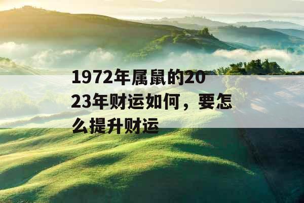 1972年属鼠的2023年财运如何，要怎么提升财运