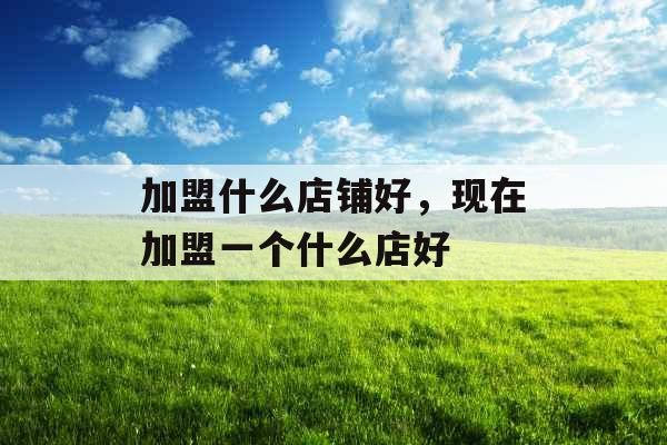加盟什么店铺好，现在加盟一个什么店好