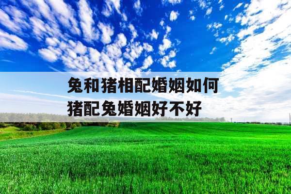 兔和猪相配婚姻如何 猪配兔婚姻好不好