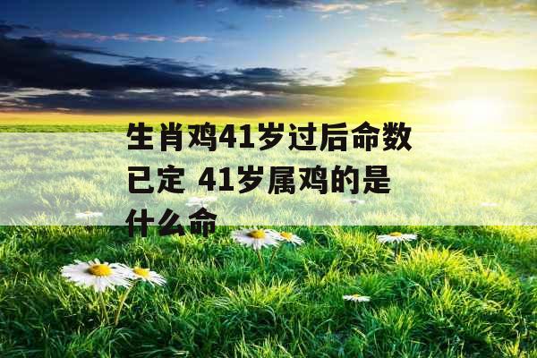 生肖鸡41岁过后命数已定 41岁属鸡的是什么命