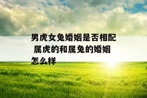 男虎女兔婚姻是否相配 属虎的和属兔的婚姻怎么样