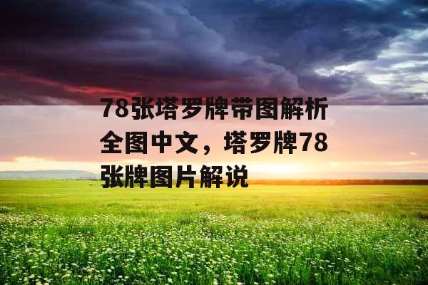 78张塔罗牌带图解析全图中文，塔罗牌78张牌图片解说