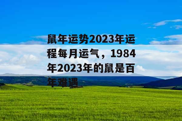 鼠年运势2023年运程每月运气，1984年2023年的鼠是百年难遇