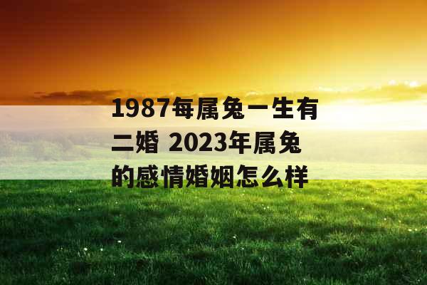 1987每属兔一生有二婚 2023年属兔的感情婚姻怎么样