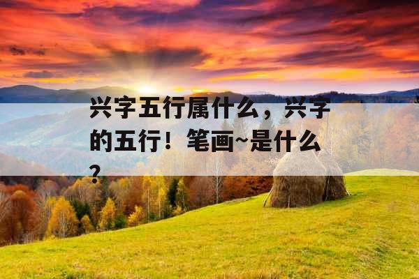 兴字五行属什么，兴字的五行！笔画~是什么？