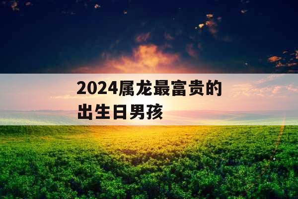 2024属龙最富贵的出生日男孩