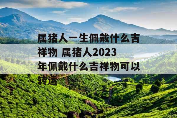 属猪人一生佩戴什么吉祥物 属猪人2023年佩戴什么吉祥物可以转运 属猪人一生佩戴什么吉祥物 属猪人2023年佩戴什么吉祥物可以转运