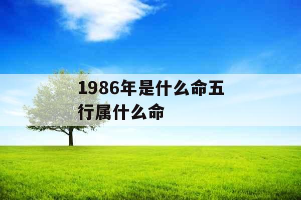 1986年是什么命五行属什么命 1986年是什么命五行属什么命