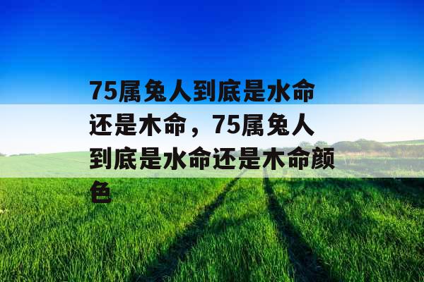 75属兔人到底是水命还是木命，75属兔人到底是水命还是木命颜色