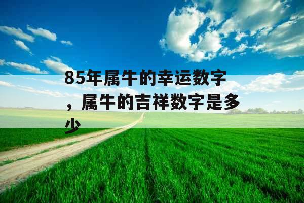 85年属牛的幸运数字，属牛的吉祥数字是多少