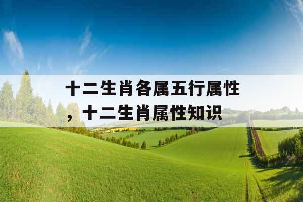 十二生肖各属五行属性，十二生肖属性知识
