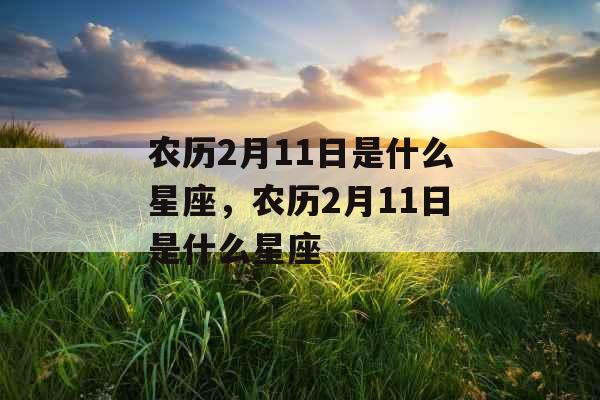 农历2月11日是什么星座，农历2月11日是什么星座