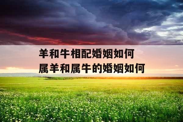 羊和牛相配婚姻如何 属羊和属牛的婚姻如何 羊和牛相配婚姻如何 属羊和属牛的婚姻如何