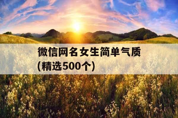 微信网名女生简单气质(精选500个)