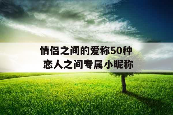 情侣之间的爱称50种 恋人之间专属小昵称