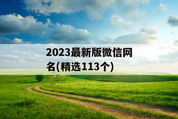 2023最新版微信网名(精选113个)