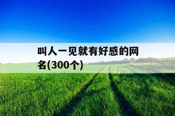 叫人一见就有好感的网名(300个) 叫人一见就有好感的网名(300个)