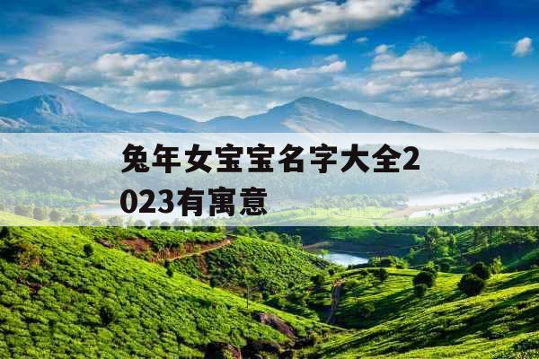兔年女宝宝名字大全2023有寓意 兔年女宝宝名字大全2023有寓意