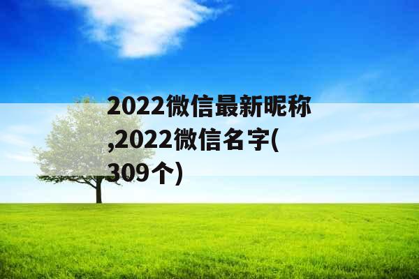 2022微信最新昵称,2022微信名字(309个)