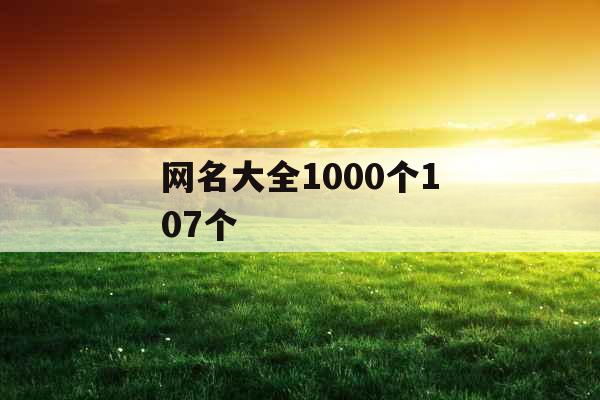 网名大全1000个107个