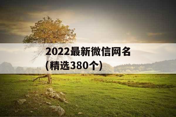2022最新微信网名(精选380个)