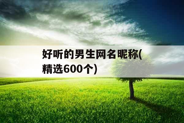 好听的男生网名昵称(精选600个) 好听的男生网名昵称(精选600个)