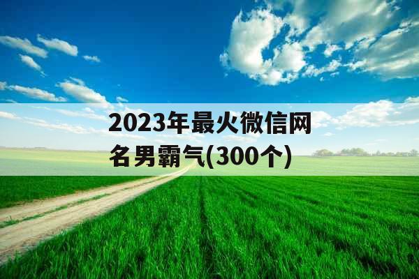 2023年最火微信网名男霸气(300个)
