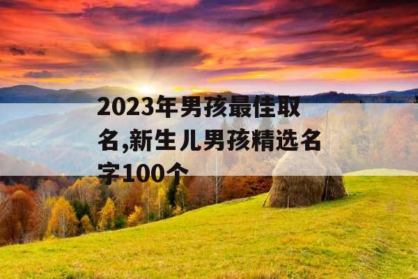 2023年男孩最佳取名,新生儿男孩精选名字100个