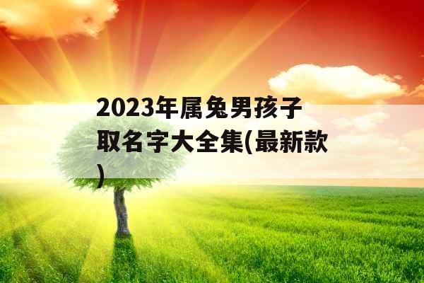 2023年属兔男孩子取名字大全集(最新款)