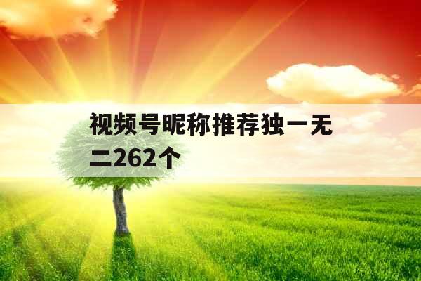 视频号昵称推荐独一无二262个