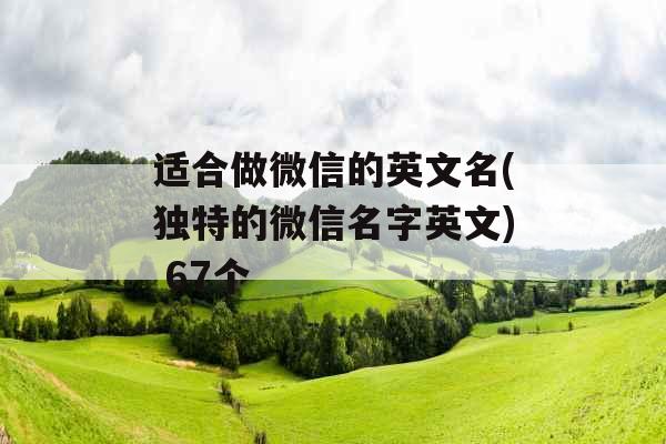 适合做微信的英文名(独特的微信名字英文) 67个