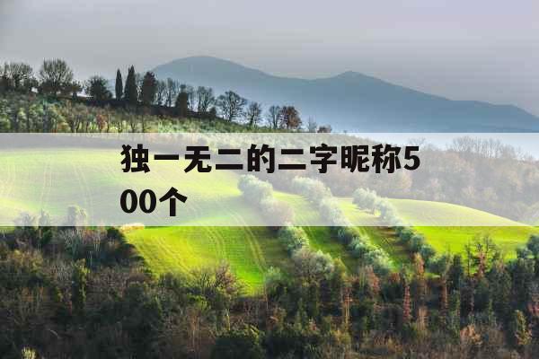 独一无二的二字昵称500个