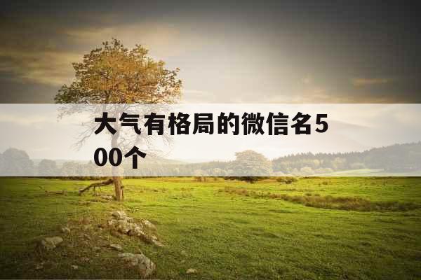 大气有格局的微信名500个