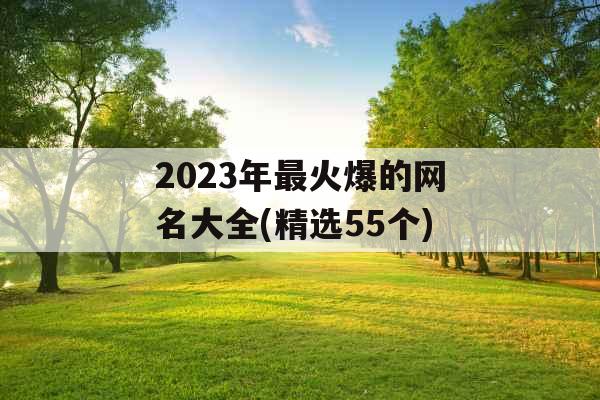 2023年最火爆的网名大全(精选55个)