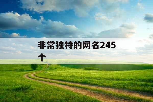 非常独特的网名245个