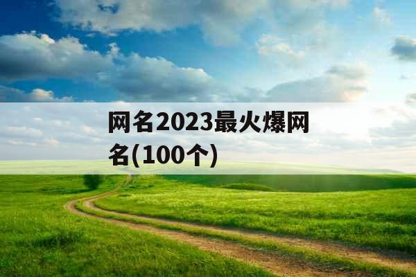 网名2023最火爆网名(100个)