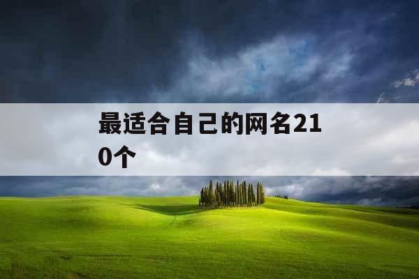 最适合自己的网名210个