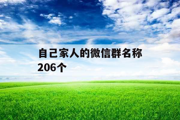 自己家人的微信群名称206个