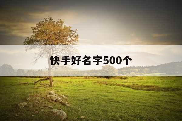 快手好名字500个