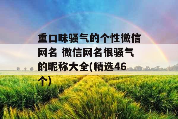 重口味骚气的个性微信网名 微信网名很骚气的昵称大全(精选46个)