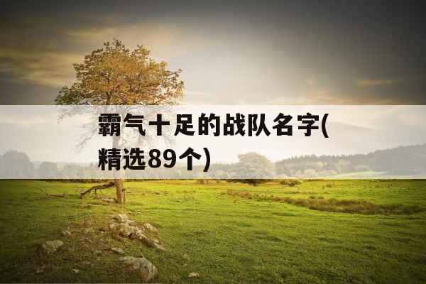 霸气十足的战队名字(精选89个)