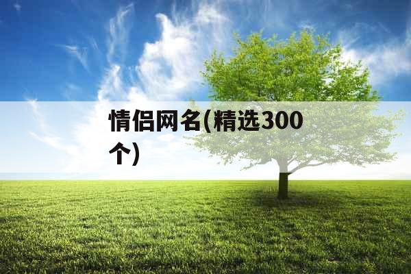 情侣网名(精选300个)