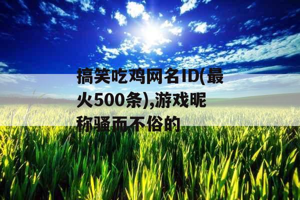 搞笑吃鸡网名ID(最火500条),游戏昵称骚而不俗的